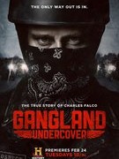 Gangland Undercover