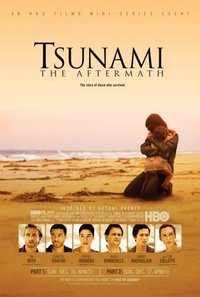 Tsunami, Il Giorno Dopo